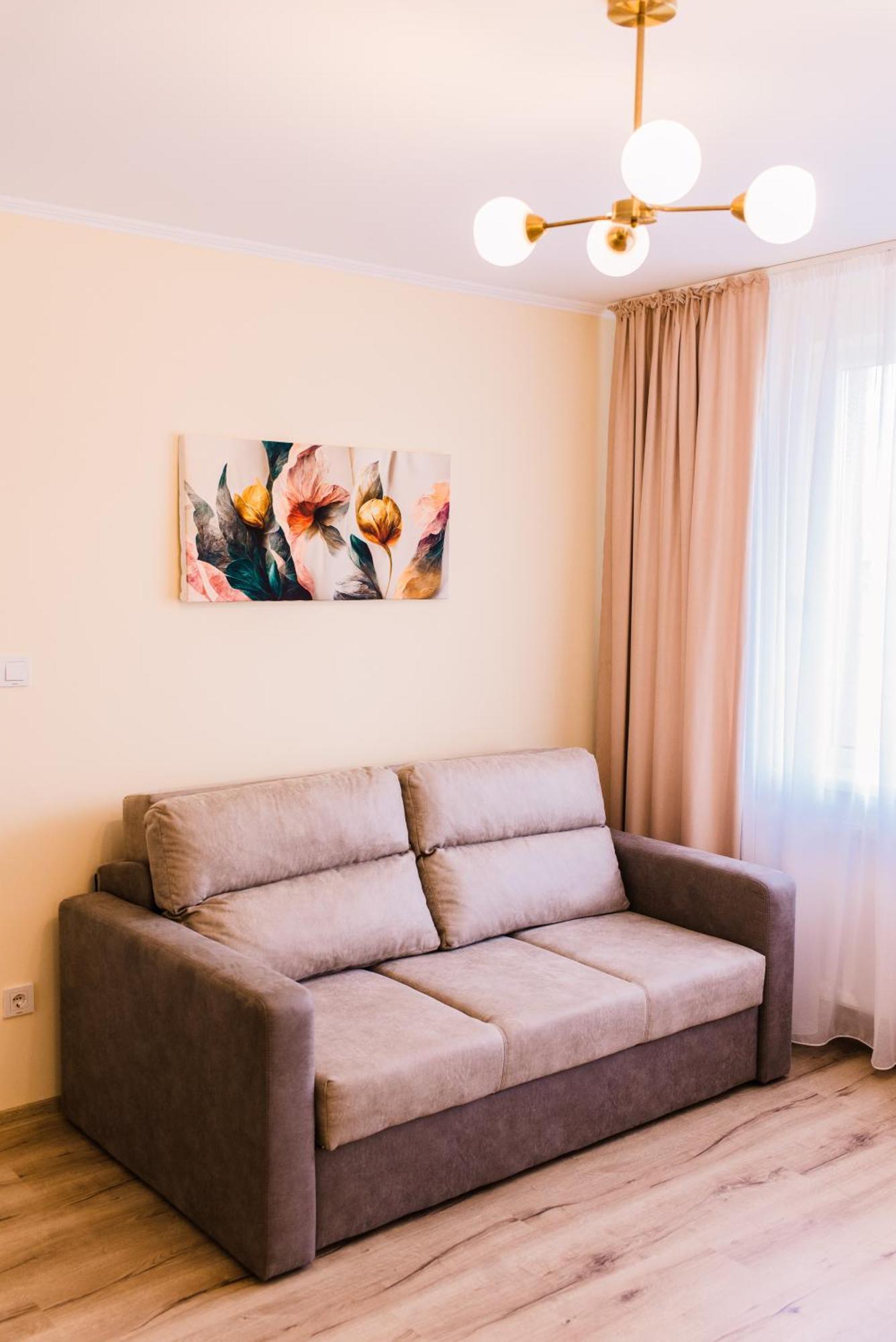 Central White Apartment Satu Mare Exterior photo